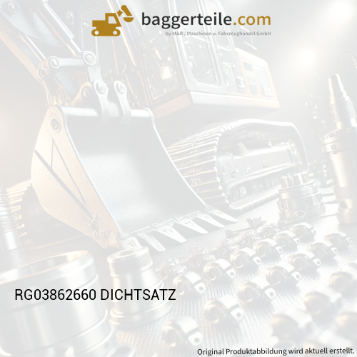 RG03862660 DICHTSATZ