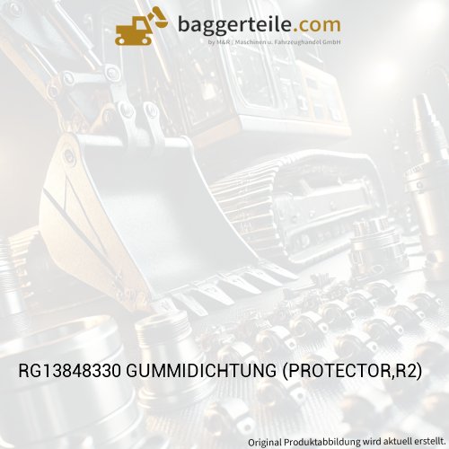 RG13848330 GUMMIDICHTUNG (PROTECTOR,R2)