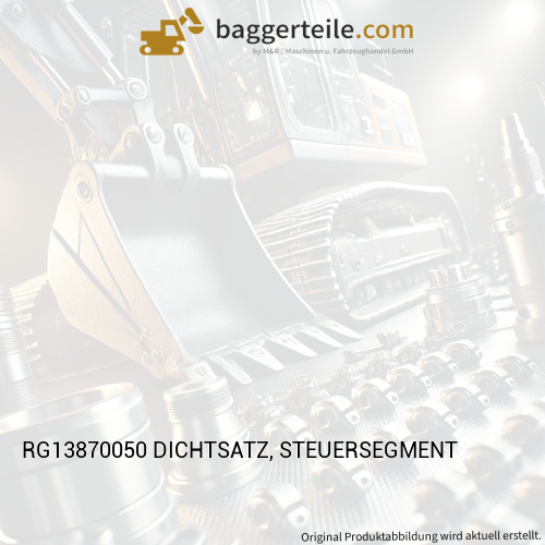 RG13870050 DICHTSATZ, STEUERSEGMENT