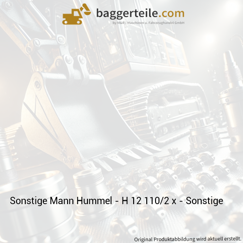 Sonstige Mann Hummel - H 12 110/2 x - Sonstige