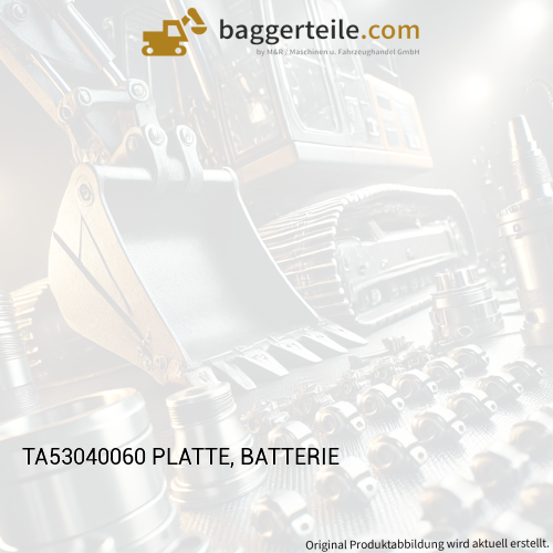 TA53040060 PLATTE, BATTERIE