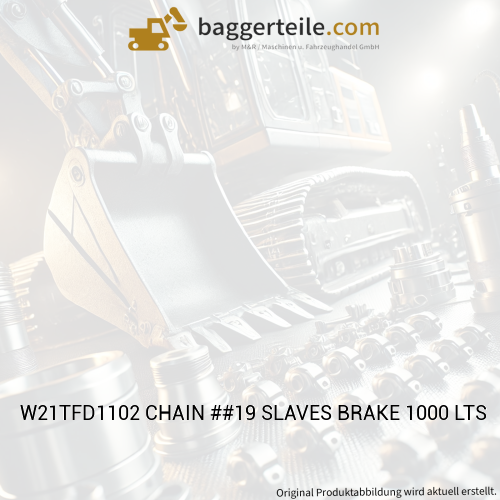 W21TFD1102 CHAIN ##19 SLAVES BRAKE 1000 LTS