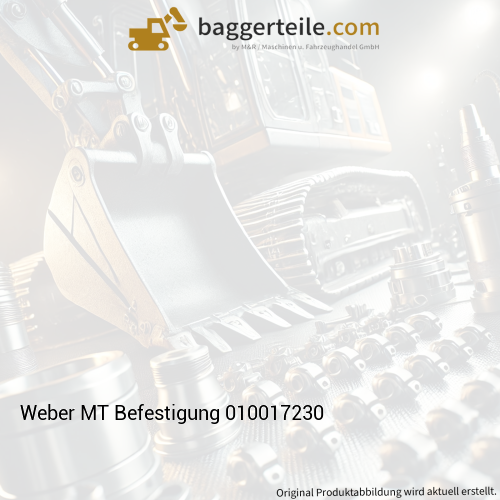 Weber MT Befestigung 010017230