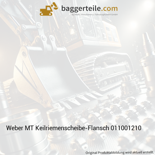 Weber MT Keilriemenscheibe-Flansch 011001210