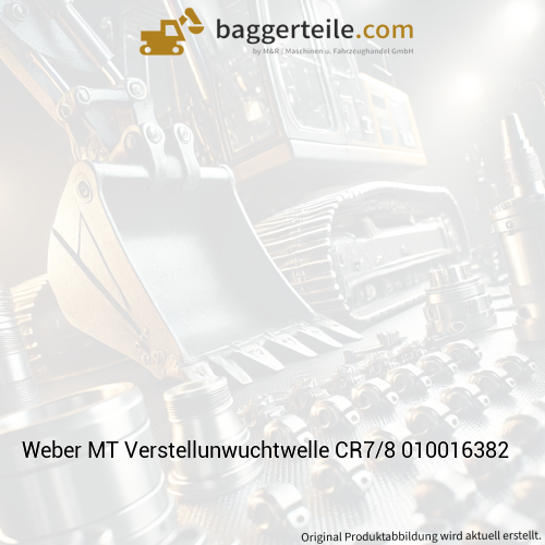Weber MT Verstellunwuchtwelle CR7/8 010016382