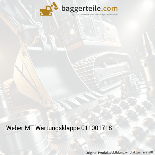 Weber MT Wartungsklappe 011001718